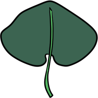 a reniform leaf